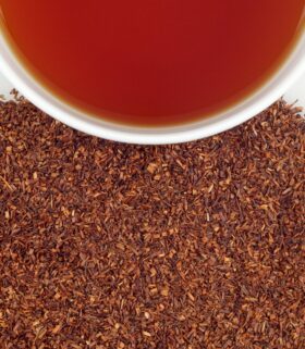 rooibos thee